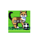 サッカーをする猫A（個別スタンプ：5）