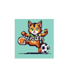 サッカーをする猫A（個別スタンプ：12）