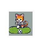 サッカーをする猫A（個別スタンプ：23）