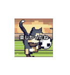 サッカーをする猫A（個別スタンプ：25）