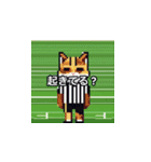 サッカーをする猫A（個別スタンプ：31）