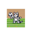 サッカーをする猫A（個別スタンプ：34）