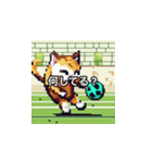 サッカーをする猫A（個別スタンプ：37）