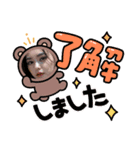美人達のスタンプ（個別スタンプ：5）