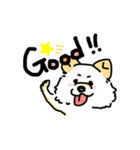 うちの愉快な仲間たち‎⁦(ᐡ ᐧ ﻌ ᐧ ᐡ)（個別スタンプ：8）