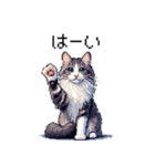 ドット絵 ノルウェージャンフォレスト 40種（個別スタンプ：9）