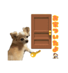 ちわちわもーちゃん（個別スタンプ：9）