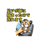 でたらめな遅刻の言い訳をするチーターさん（個別スタンプ：13）