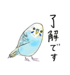 いろんなカラーのセキセイインコのあいさつ（個別スタンプ：4）