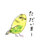 いろんなカラーのセキセイインコのあいさつ（個別スタンプ：7）