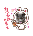 ホクホク❤️stamp（個別スタンプ：19）