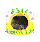 ホクホク❤️stamp（個別スタンプ：23）