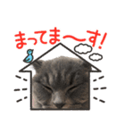 ホクホク❤️stamp（個別スタンプ：26）