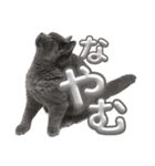 ホクホク❤️stamp（個別スタンプ：33）