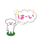 【挨拶】白いトイプードル仔犬/修正版（個別スタンプ：13）