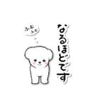 【挨拶】白いトイプードル仔犬/修正版（個別スタンプ：39）