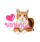【タイ語】気持ちを伝える♡かわいい茶白猫（個別スタンプ：3）