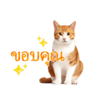 【タイ語】気持ちを伝える♡かわいい茶白猫（個別スタンプ：4）