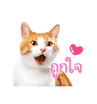 【タイ語】気持ちを伝える♡かわいい茶白猫（個別スタンプ：5）