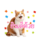 【タイ語】気持ちを伝える♡かわいい茶白猫（個別スタンプ：8）