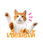 【タイ語】気持ちを伝える♡かわいい茶白猫（個別スタンプ：11）