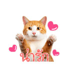 【タイ語】気持ちを伝える♡かわいい茶白猫（個別スタンプ：14）