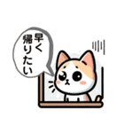 にゃんこと暮らす日常（個別スタンプ：13）