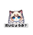 【ラグドール】猫スタンプ（個別スタンプ：12）