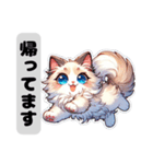 【ラグドール】猫スタンプ（個別スタンプ：13）