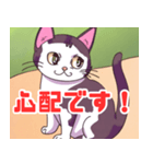 キュートな猫ちゃんスタンプ集（個別スタンプ：13）