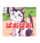 キュートな猫ちゃんスタンプ集（個別スタンプ：17）