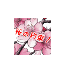 美しい桜・・・（個別スタンプ：11）