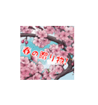 美しい桜・・・（個別スタンプ：20）