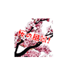 美しい桜・・・（個別スタンプ：24）