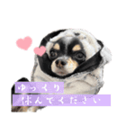 babyるぅ！やさぐれ編（個別スタンプ：4）