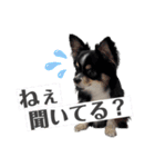 babyるぅ！やさぐれ編（個別スタンプ：7）