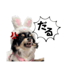 babyるぅ！やさぐれ編（個別スタンプ：12）