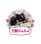 babyるぅ！やさぐれ編（個別スタンプ：17）