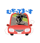 babyるぅ！やさぐれ編（個別スタンプ：18）
