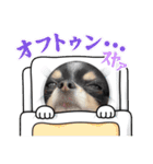 babyるぅ！やさぐれ編（個別スタンプ：20）