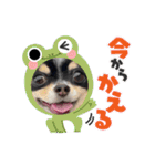 babyるぅ！やさぐれ編（個別スタンプ：22）