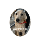 いたずらシェリーの楽しい毎日¨̮♡︎（個別スタンプ：9）