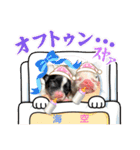 ちわわ〜ズ⑥（個別スタンプ：11）