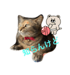 あんずちゃん其の12（個別スタンプ：6）