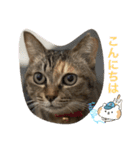 あんずちゃん其の12（個別スタンプ：7）