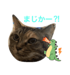 あんずちゃん其の12（個別スタンプ：10）