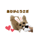 癖が強いリロちゃんスタンプ（個別スタンプ：14）