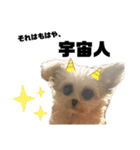 癖が強いリロちゃんスタンプ（個別スタンプ：19）
