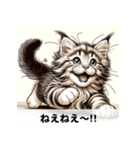 メインクーンの子猫の日常（個別スタンプ：2）