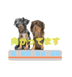ハピオレ②-1（個別スタンプ：2）